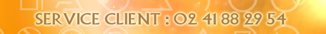 service client